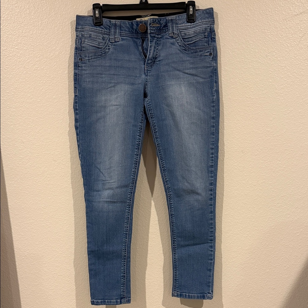Democracy Medium Blue Skinny Jeans